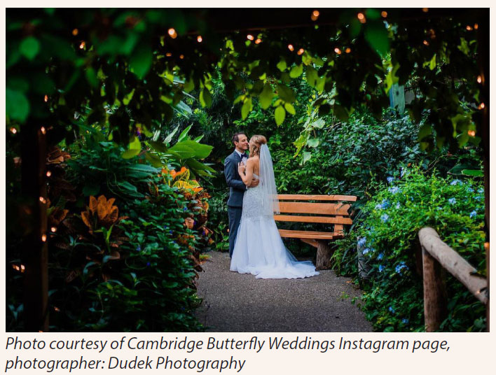 A newlywed couple stands beneath the lush, green foliage at the Cambridge Butterfly Conservatory holding each other in a close embrace. The groom is wearing a grey suit and the bride a long white gown with a veil. There are lights hanging within the branches of the trees around them.