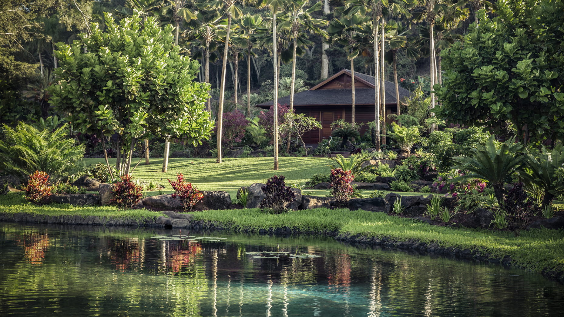 Sensei Lanai resort sits inside a lush landscape of greenery