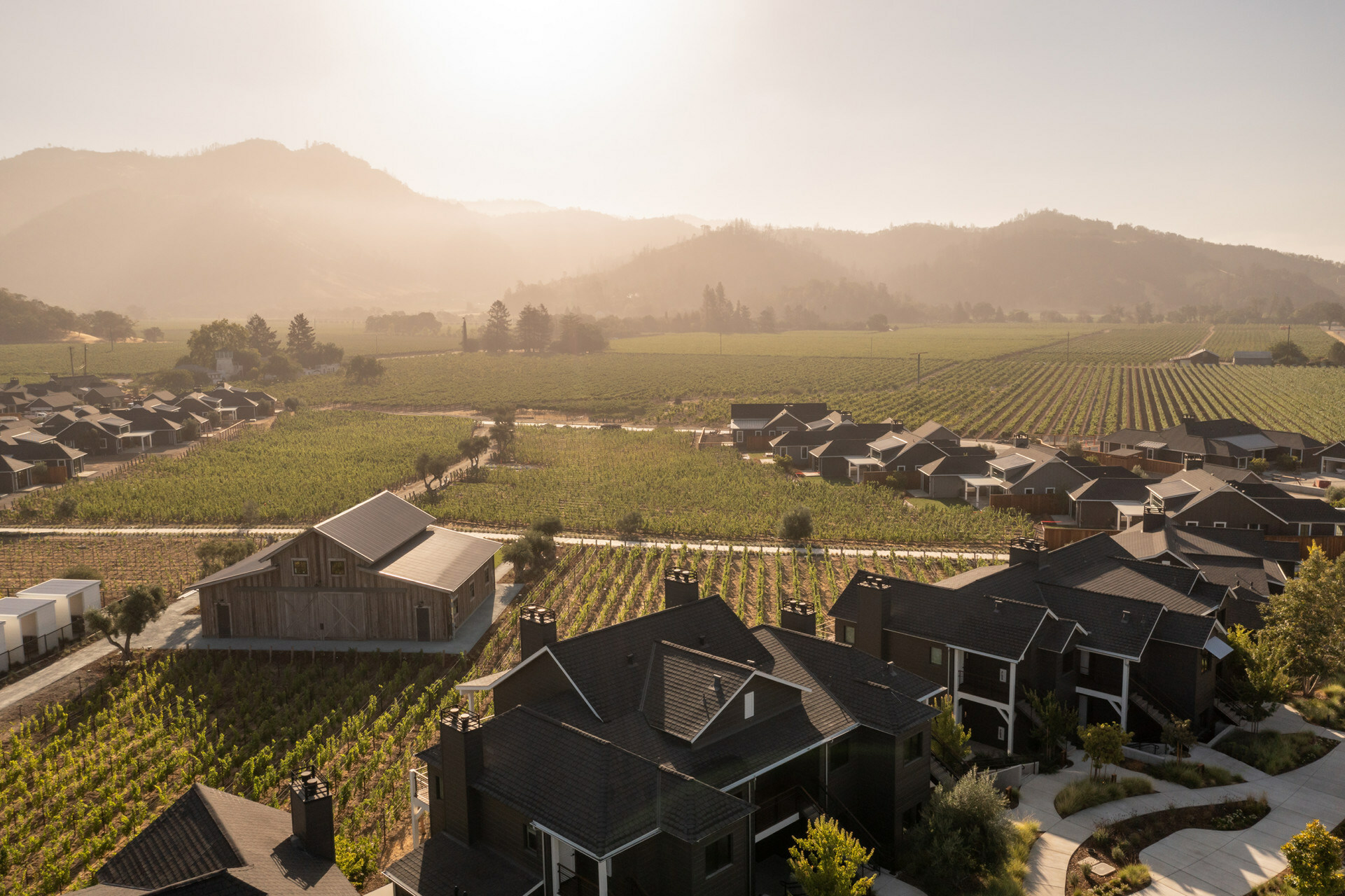 Mastering Napa Valley's Mountain Appellations