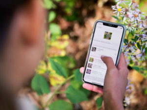 iNaturalist app