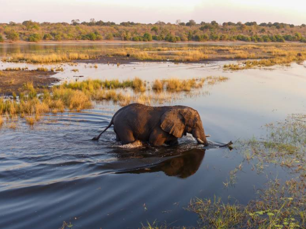 Botswana safari Exodus Travels