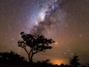 Kenya savanna stargazing safaris