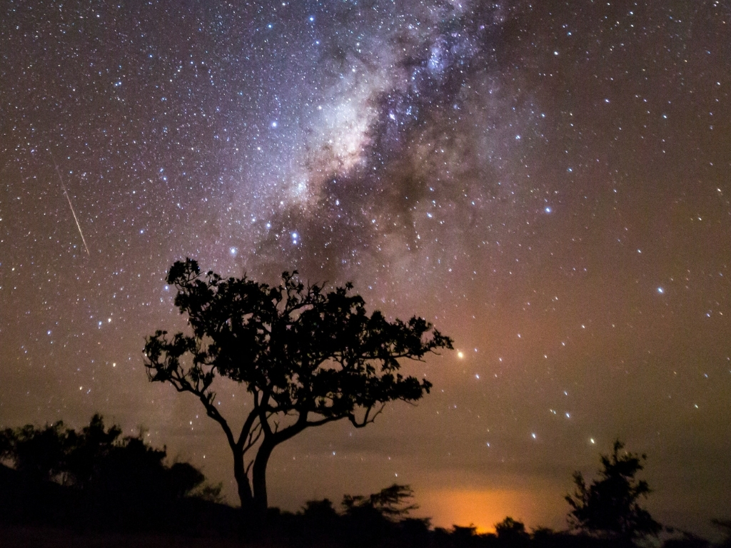 Kenya savanna stargazing safaris